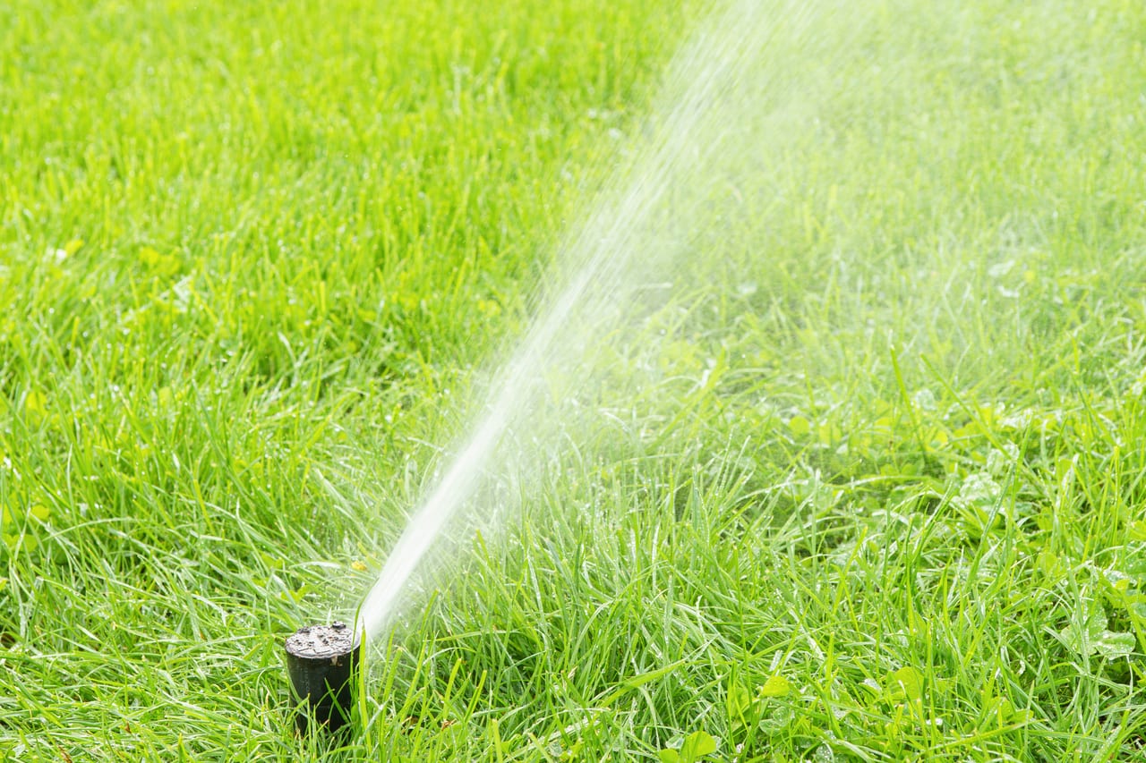 Gazon besproeid in de vroege ochtend
